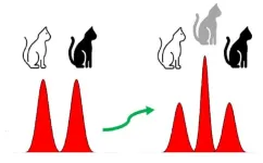 A physical qubit with built-in error correction