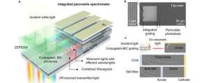 A platform for integrated spectrometers based on solution-processable semiconductors