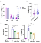 A potential pathway to improved stroke recovery 2