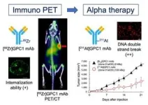 A powerful new tool in the fight against one of the deadliest cancers 2