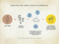 A protein mines, sorts rare earths better than humans, paving way for green tech