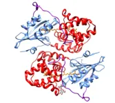 A quantum leap in carotenoid analysis: Speed and precision unlocked