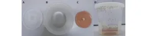 A rapid and reproducible method for generating germ-free Drosophila melanogaster