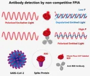 A rapid method to quantify antibodies against SARS-CoV-2