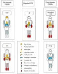 A revised classification of primary iron overload syndromes