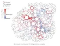 A roadmap for gene regulation in plants 2