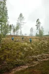 A ‘shocking’ carbon discovery in Sweden’s forests