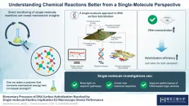 A single-molecule guide to understanding chemical reactions better