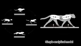 A speedy trial: What it takes to be the fastest land predator