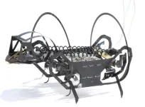 A springtail-like jumping robot