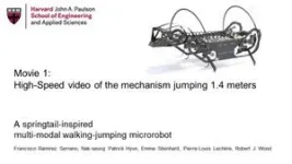 A springtail-like jumping robot 2