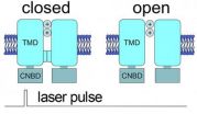 A stable model for an unstable target