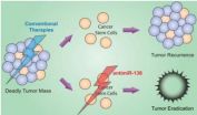 A*STAR scientists discover potential drug for deadly brain cancer