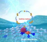 A successful catalyst design for advanced zinc-iodine batteries