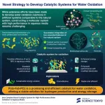 A sustainable iron catalyst for water oxidation in renewable energy