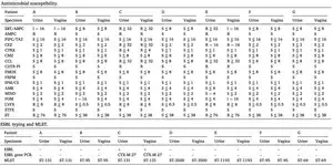 A tale of two “niches”: The microbial connection between urinary bladder and vagina 2