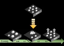 A teamwork to evaluate the influence of the cathode catalyst layer platinum loading on the durability of PEMFC