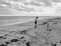 A trained detection dog found sea turtle nests in Florida more accurately and efficiently than humans, indicating potential for dog-assisted nest monitoring