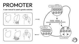 A user manual for yeast’s genetic switches