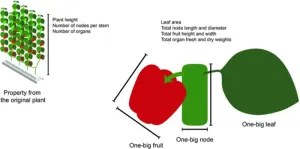 A versatile deep-learning model for accurate prediction of plant growth