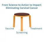 A world without cervical cancer: <i>Preventive Medicine</i> publishes special issue to further global efforts to eliminate deadly disease