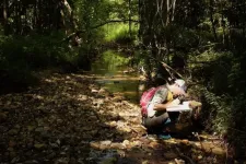 Abundant and stable rocks are critical egg-laying habitat for insects in restored streams