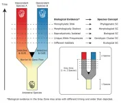 Accelerating coral reef science: building consensus around the assessment and interpretation of Symbiodiniaceae diversity