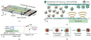 Acoustofluidics-based method facilitates intracellular nanoparticle delivery