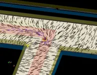 Active liquid crystal systems examined in search of autonomous materials systems