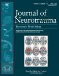 Acute pseudoaneurysms following head gunshot wounds