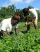 Adolescents underserved at American Public Gardens 