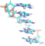 Advancement in DNA quantum computing using electric field gradients and nuclear spins