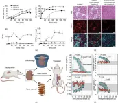 Advancements in organ preservation: paving the way for better transplantation outcomes