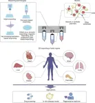 Advances in 3D organ bioprinting: A step towards personalized medicine and solving organ shortages