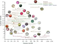 Advances in omics research of rosaceae