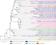 Advances in omics research of rosaceae 2