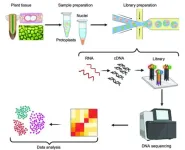 Advancing plant biology with breakthroughs in single-cell RNA sequencing