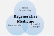 Advancing tissue engineering with shape memory hydrogels