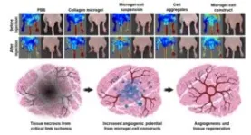 Advancing tissue engineering with shape memory hydrogels 3