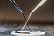 Aerogel can become the key to future terahertz technologies 2