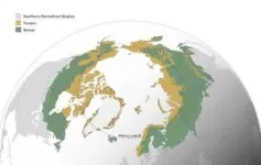 After millennia as carbon dioxide sink, more than one-third of Arctic-boreal region is now a source 2