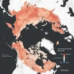 After millennia as carbon dioxide sink, more than one-third of Arctic-boreal region is now a source 3