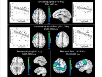 Age-related alterations in the oscillatory dynamics serving verbal working memory processing