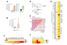 Aging alters pancreatic circadian rhythm