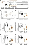 Aging: Cdkn1a transcript variant 2 is a marker of aging and cellular senescence