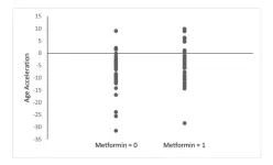 Aging | Metformins impact on aging and longevity through DNA methylation