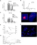 Aging-US: Aging phenotype of MDPL syndrome associated with impaired DNA repair capacity