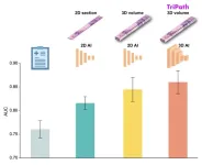 AI advancements make the leap into 3D pathology possible