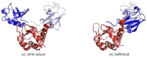 AI matches protein interaction partners