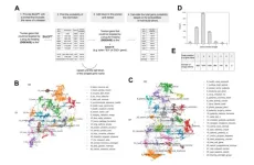 AI model for age-related disease target discovery